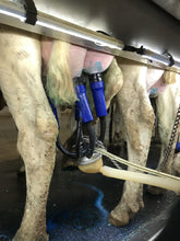 Load image into Gallery viewer, LED light for dairy parlor
