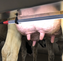 Load image into Gallery viewer, LED Lighting for Dairy Farms and Milking Parlors
